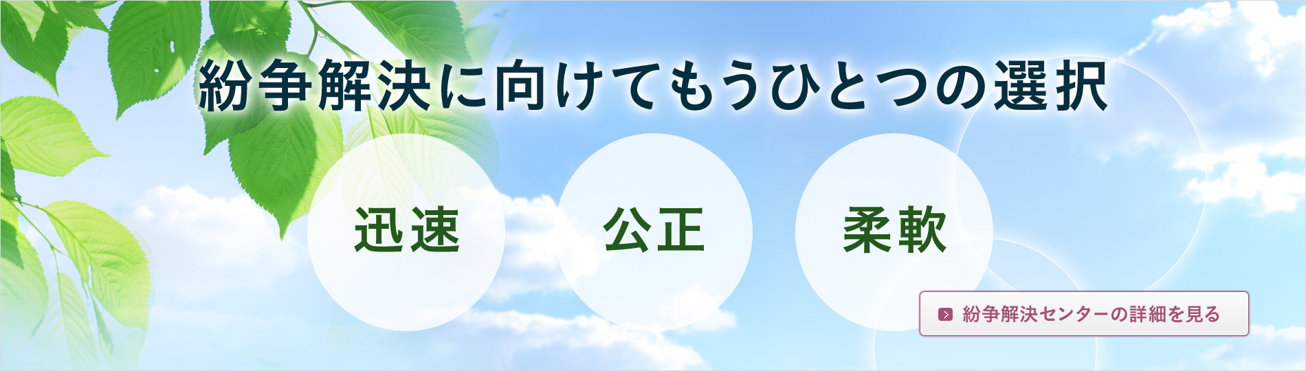 紛争解決センター、紛争解決に向けてもうひとつの選択